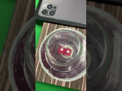 Perangkat Kecurangan Dadu Khusus Sistem Dadu Magnetik Elektronik